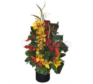 Ruže, orhideje i božićna zvezda sa dekoracijom u kutiji