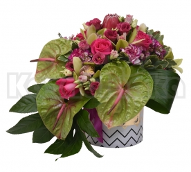 Anturijum, ruže, orhideje, karanfili i protea sa dekoracijom u kutiji
