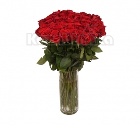 31 ekvadorska crvena ruža u staklenoj vazi