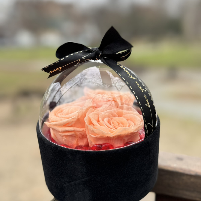 Dehidrirane ruže u kutiji - kajsija