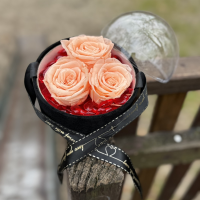 Dehidrirane ruže u kutiji - kajsija