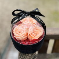 Dehidrirane ruže u kutiji - kajsija