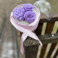 Dehidrirane ruže u kutiji - lila