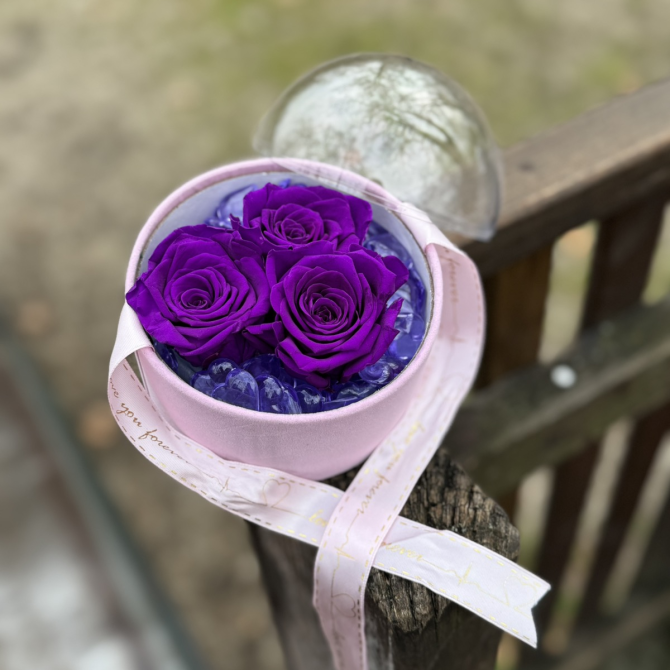 Dehidrirane ruže u kutiji - ljubičasta