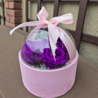 Dehidrirane ruže u kutiji - ljubičasta
