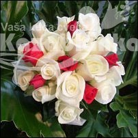 Bidermajer - Kombinacija crvenih i belih ruža