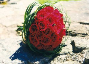 Bidermajer - Crvene ruže i zelenilo