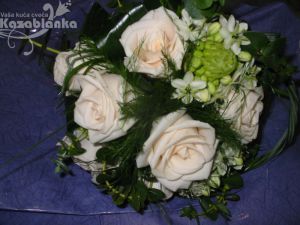 BDM 180. Bidermajer - Vendela, Ornitogalum, zelnilo