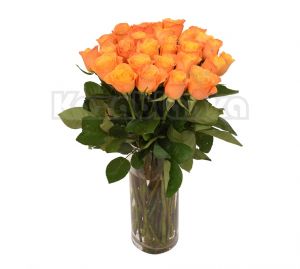Narandžasta ruža