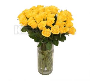 Žuta ruža