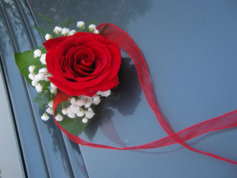 DZR 11. Cvet za ruku