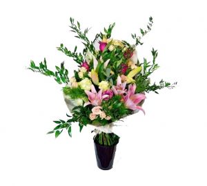 Buket - Roze orijenalni ljiljan, ciklama i bele ruže, mini ruže, asparagus i eukaliptus